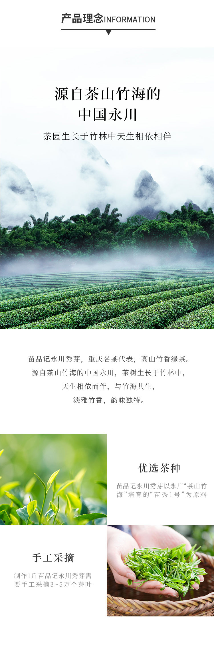 120g永川秀芽八宝盒（大道知竹）3_02.jpg