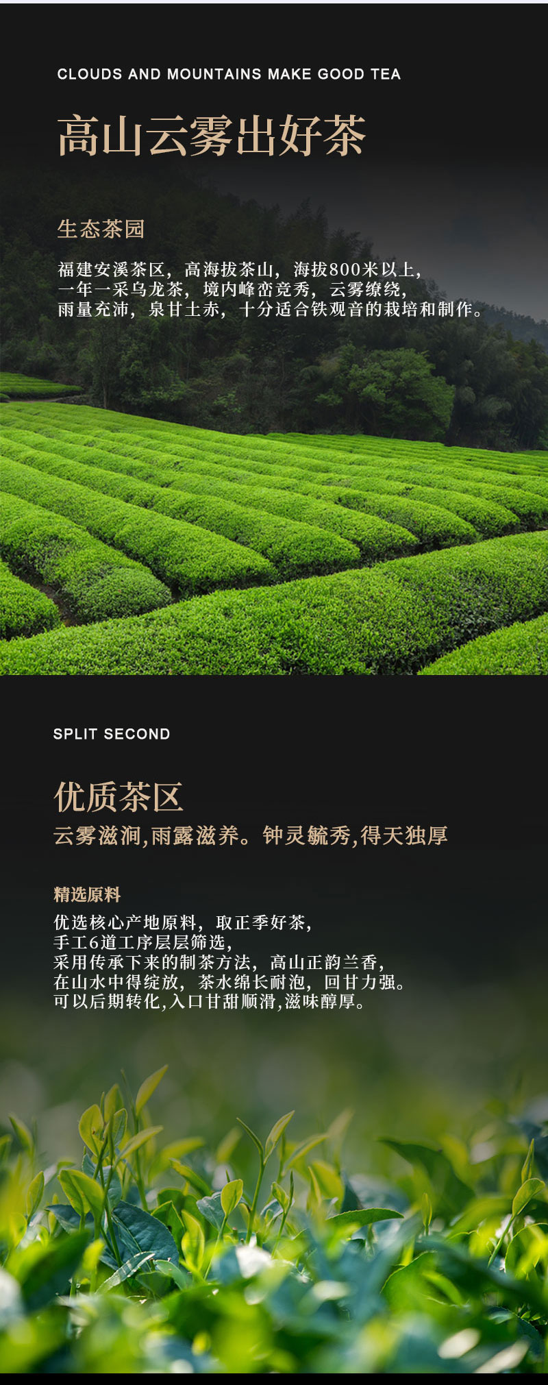 80克麒麟唐金琥珀(浓香型铁观音)4_02.jpg