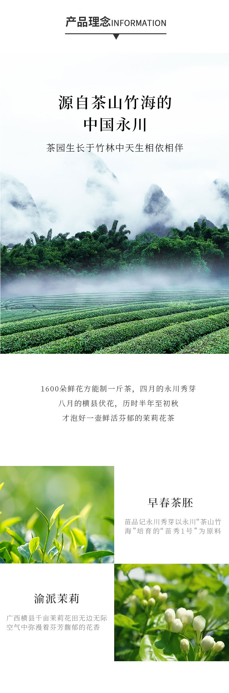 60g罐装茉莉秀芽3_02.jpg